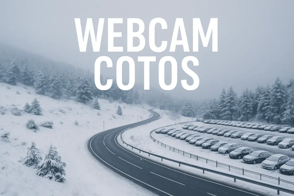 webcam cotos
